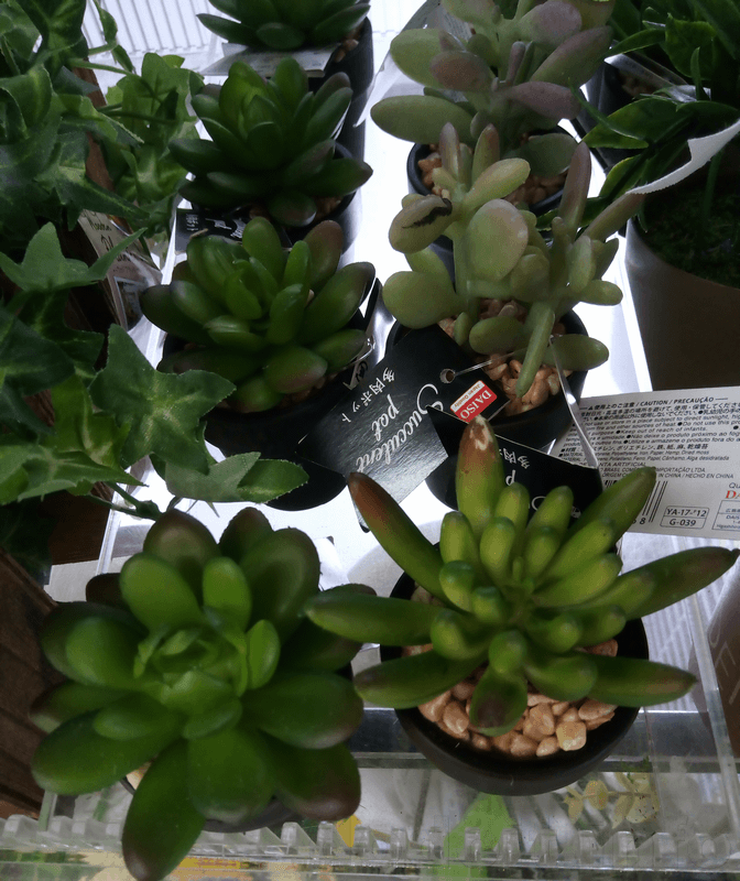 造花の多肉植物